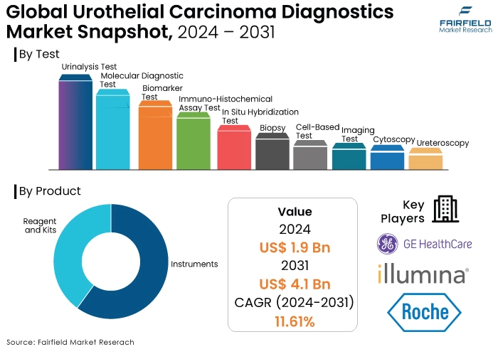Urothelial Carcinoma Diagnostics Market Snapshot, 2024 - 2031