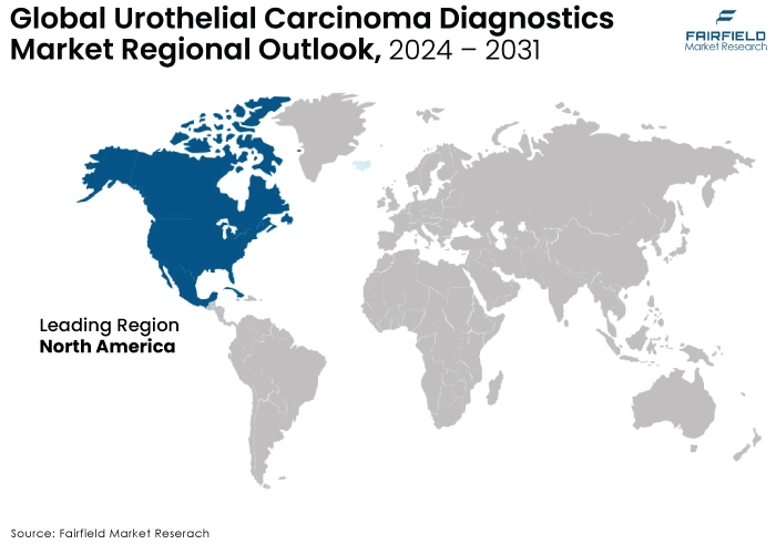 Urothelial Carcinoma Diagnostics Market Regional Outlook, 2024 - 2031