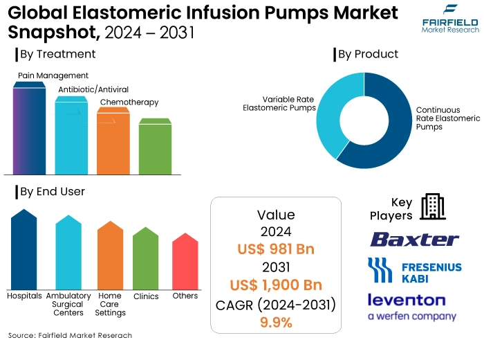 Elastomeric Infusion Pumps Market Snapshot, 2024 - 2031