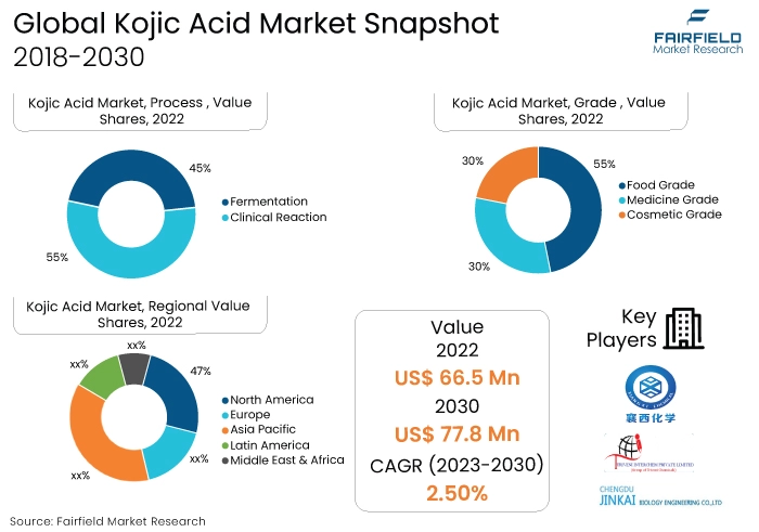 Kojic Acid Market Snapshot, 2018-2030