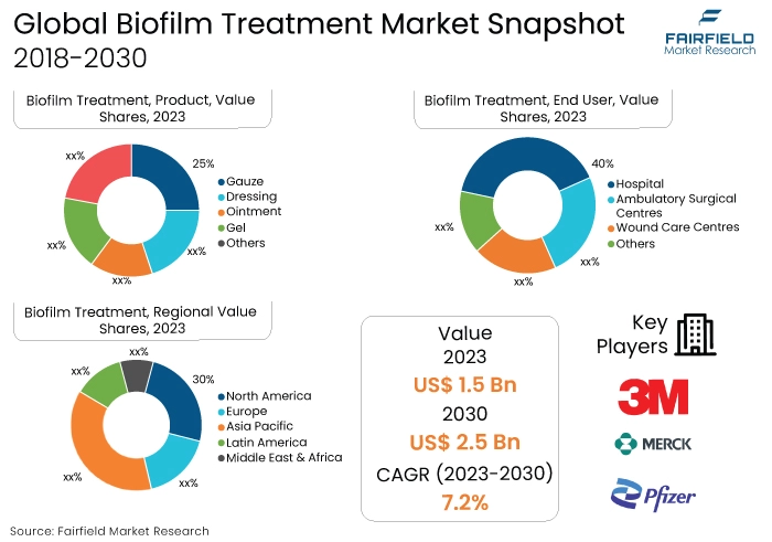 Biofilm Treatment Market Snapshot, 2018-2030