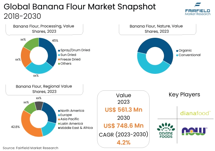 Banana Flour Market Snapshot, 2018-2030