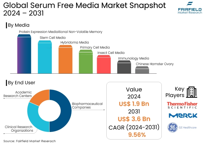 Serum Free Media Market, Snapshot, 2024 - 2031