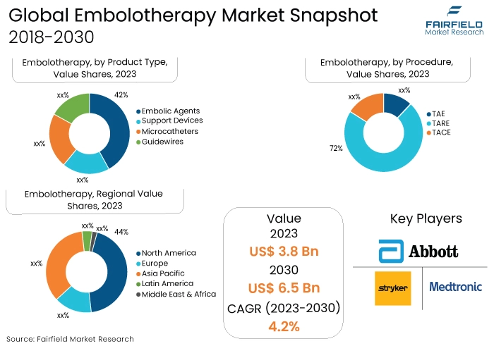 Embolotherapy Market Snapshot, 2018-2030