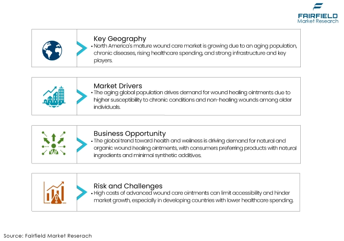 Wound Healing Ointment Market DROs