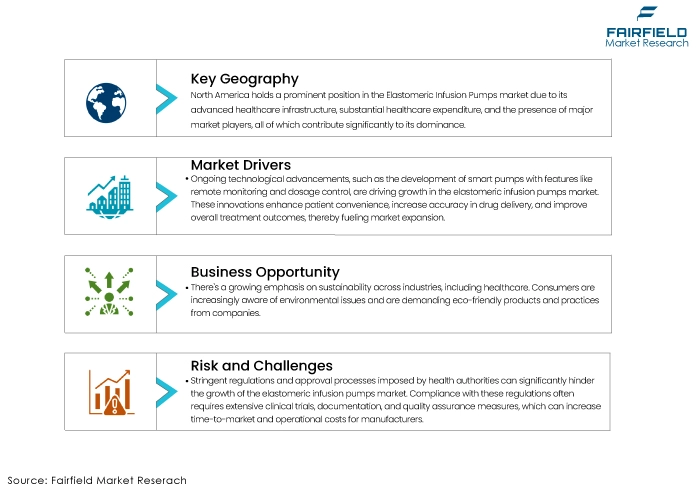 Elastomeric Infusion Pumps Market DROs