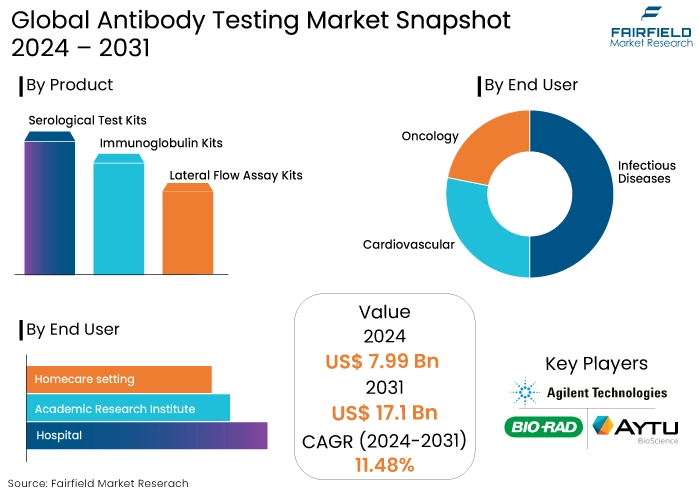 Antibody Testing Market Snapshot, 2024 - 2031