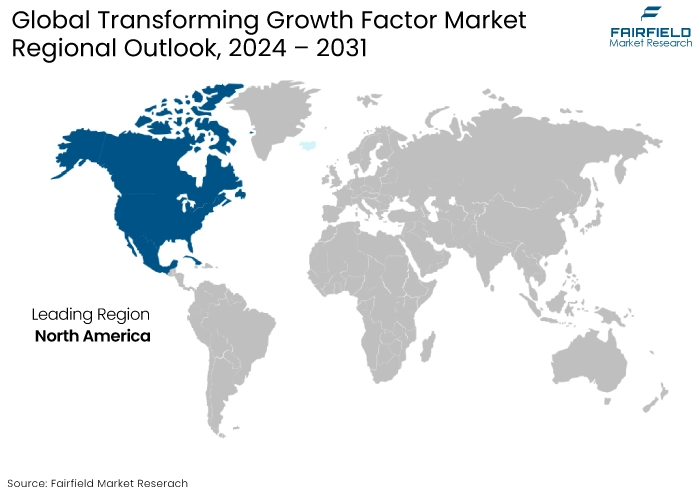 Transforming Growth Factor Market Regional Outlook, 2024 - 2031