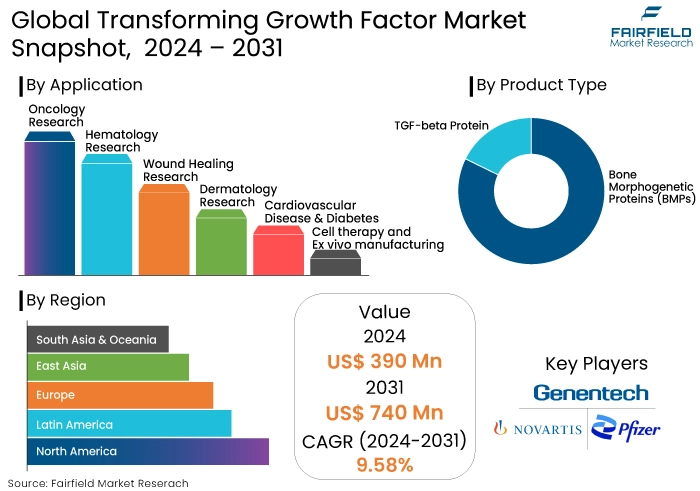 Transforming Growth Factor Market Snapshot, 2024 - 2031