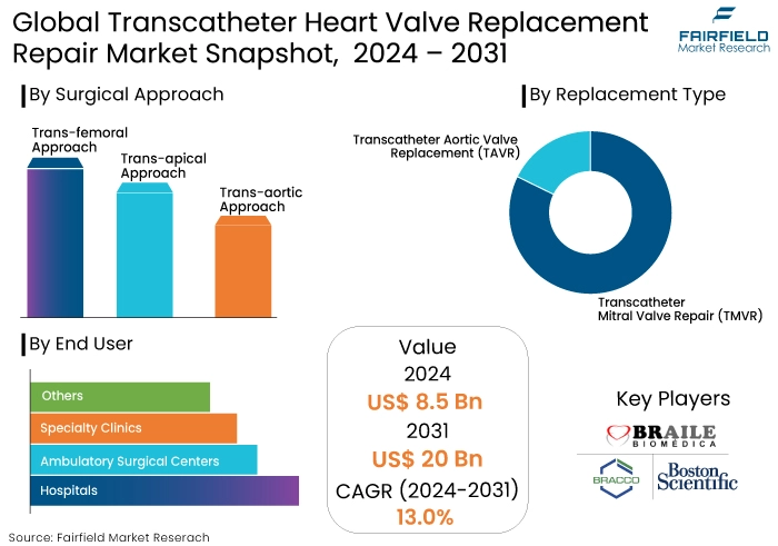 Transcatheter Heart Valve Replacement Repair Market Snapshot, 2024 - 2031