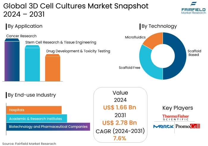 3D Cell Cultures Market Snapshot, 2024 - 2031