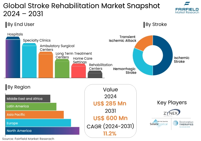 Stroke Rehabilitation Market Snapshot, 2024 - 2031