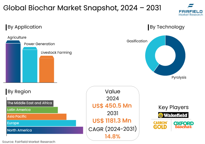 Biochar Market Snapshot, 2024 - 2031