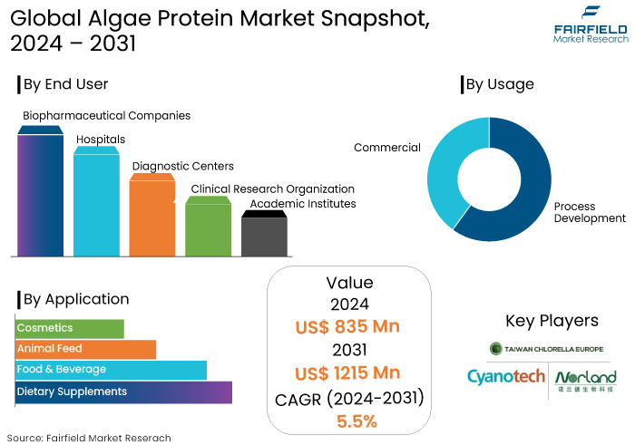 Algae Protein Market Snapshot, 2024 - 2031