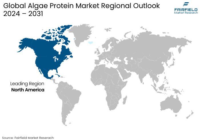 Algae Protein Market Regional Outlook, 2024 - 2031