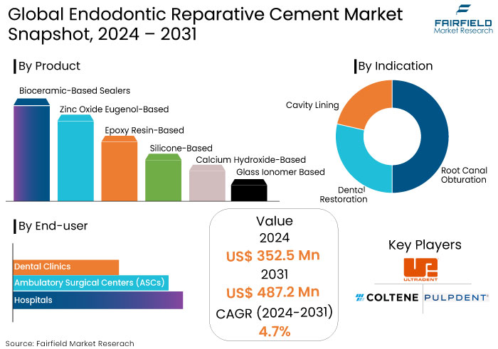 Endodontic Reparative Cement Market Snapshot, 2024 - 2031