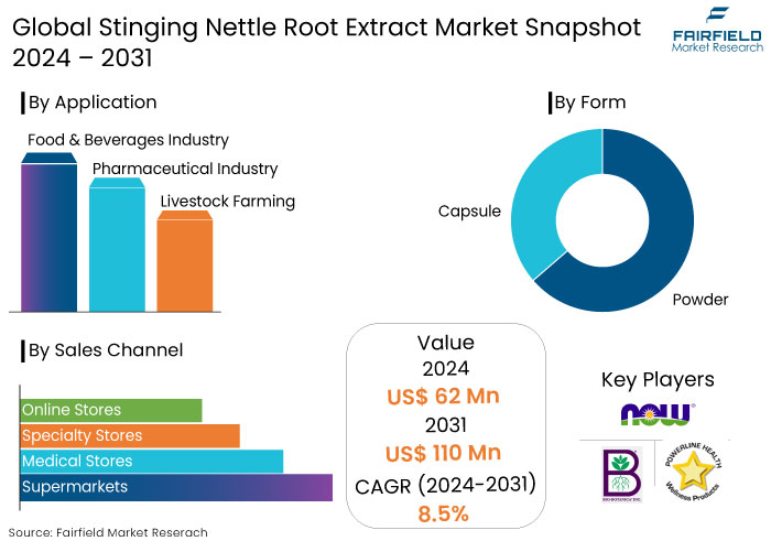 Stinging Nettle Root Extract Market Snapshot, 2024 - 2031