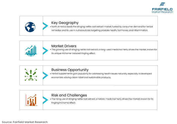 Stinging Nettle Root Extract Market, DROs