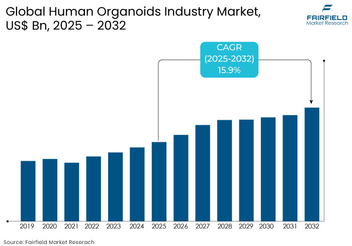 Human Organoids Industry Market, US$ Bn, 2025 - 2032