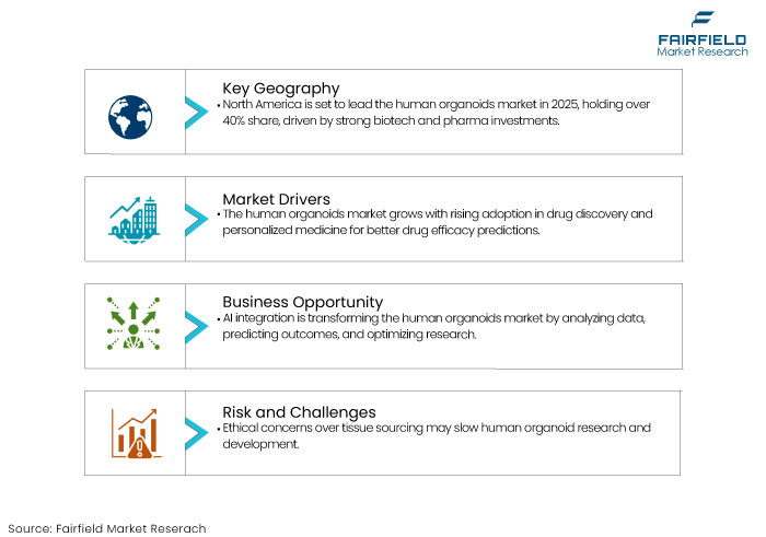 Human Organoids Industry Market, DROs