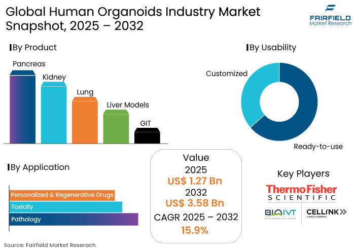 Human Organoids Industry Market Snapshot, 2025 - 2032