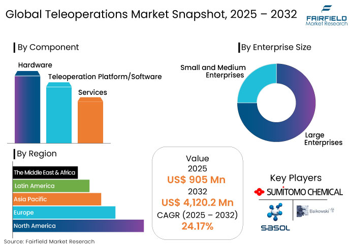 Teleoperations Market Snapshot, 2025 - 2032