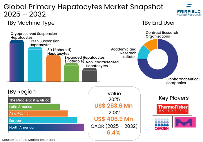 Primary Hepatocytes Market Snapshot, 2025 - 2032