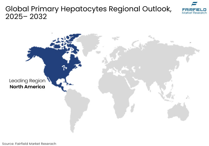 Primary Hepatocytes Regional Outlook, 2025-2032